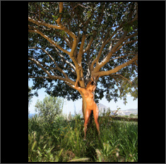 Vivien, the tree of life
