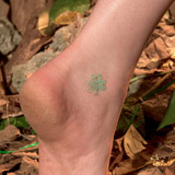 Naughty Nymph - Saige Aeryne (65 Photos) - Leg Sex