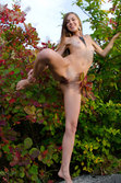 Met-Art.com gallery - Verba