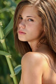 Met-Art.com gallery - Velutina