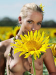 Met-Art.com gallery - Tournesol