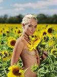 Met-Art.com gallery - Tournesol