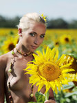 Met-Art.com gallery - Tournesol