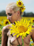 Met-Art.com gallery - Tournesol