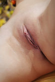 Met-Art.com gallery - Hierba