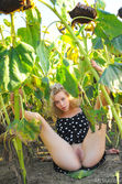 Helena nude in erotic FLOWER IN THE SUN gallery - MetArt.com